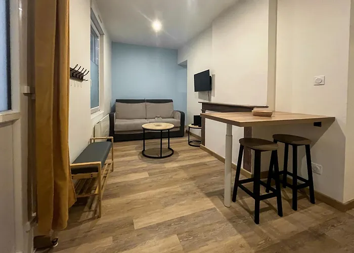 T2 La Doutre 2-4 Personnes * Анже